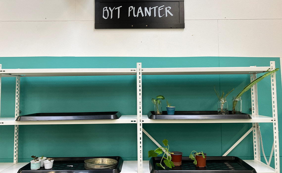 Hylder med forskellige planter og et skilt med teksten: "Byt planter"